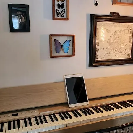 Superb And Central Place! Airb&b Favorite * ベルゲン